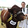 Launceston Show 2019